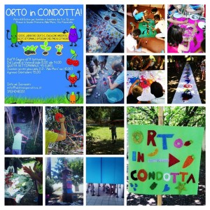 Phototastic-21_07_2015_1e4d7045-b926-4140-8566-afecc5b9fb8a