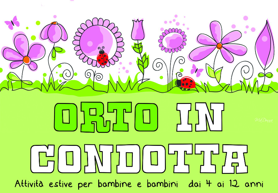 orto_web.jpg