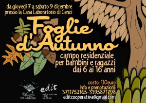 foglie_autunno_2017_locandina_web