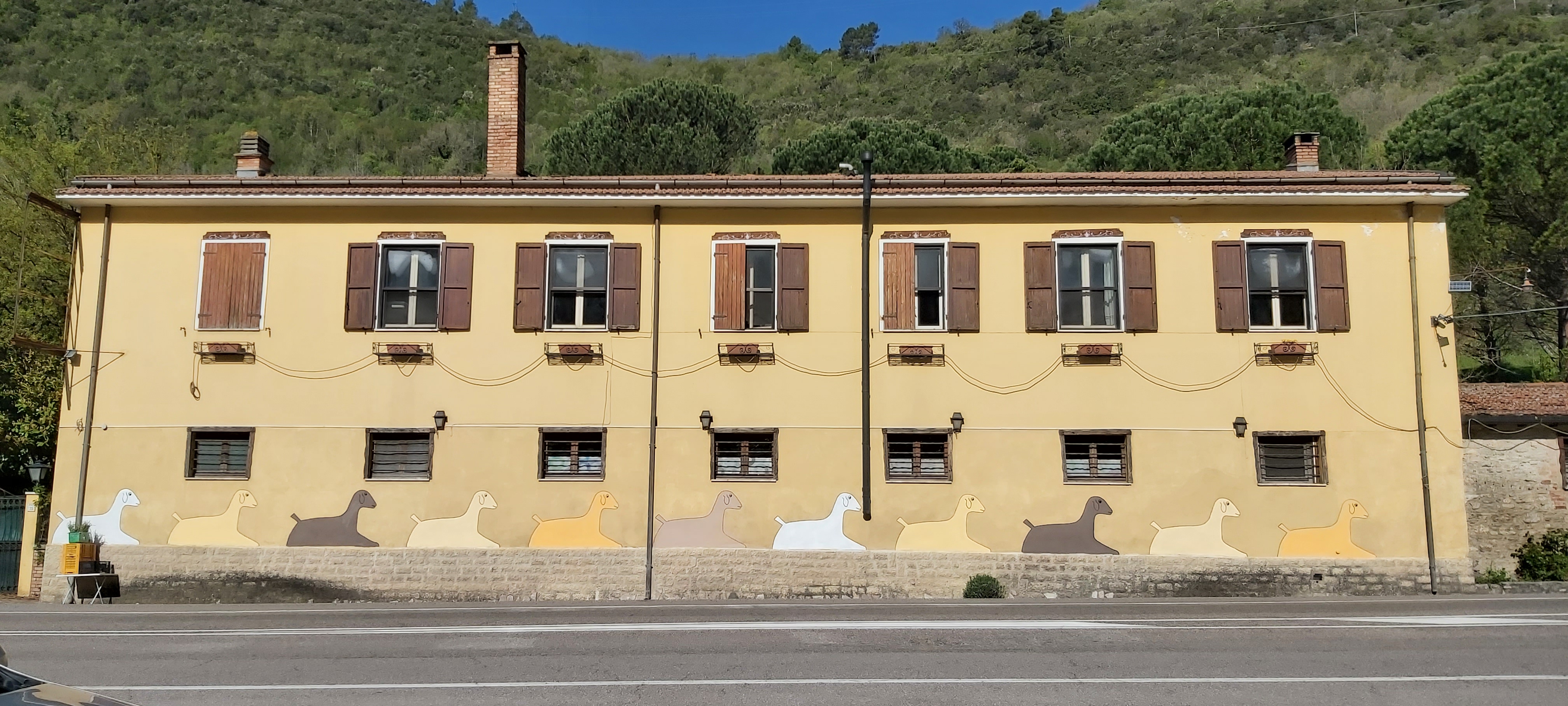 pecore-facciata.jpg